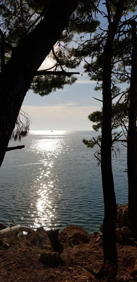 Luxury Apartment Spa "Marina" Makarska Eksteriør bilde