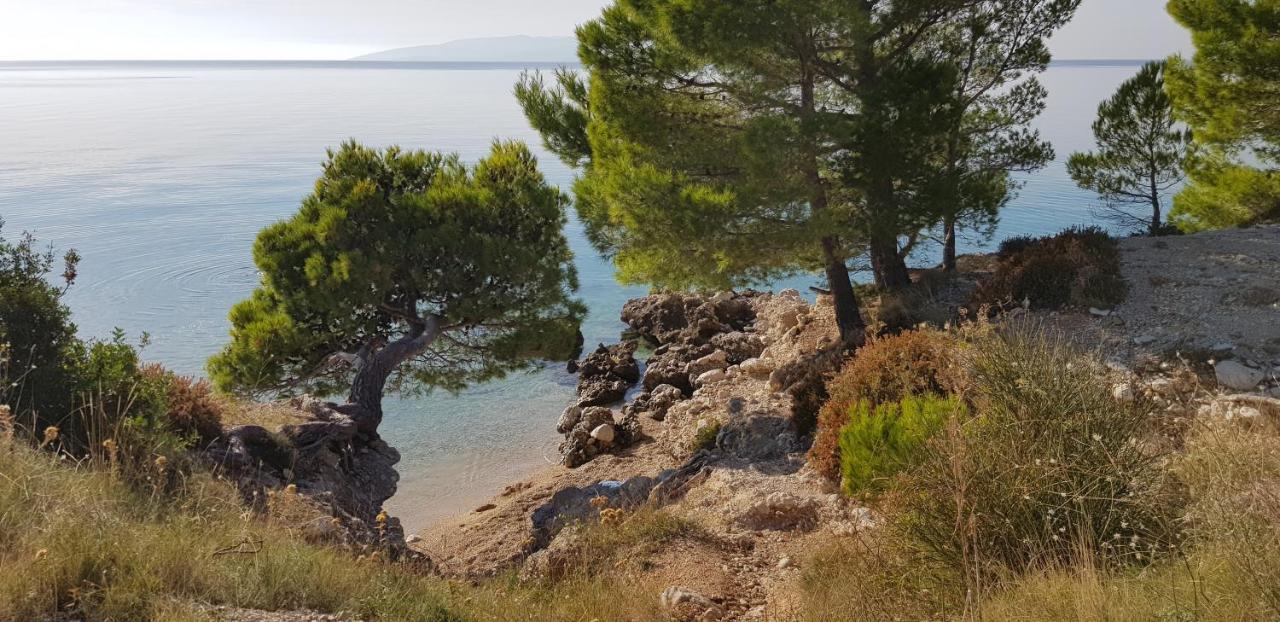 Luxury Apartment Spa "Marina" Makarska Eksteriør bilde