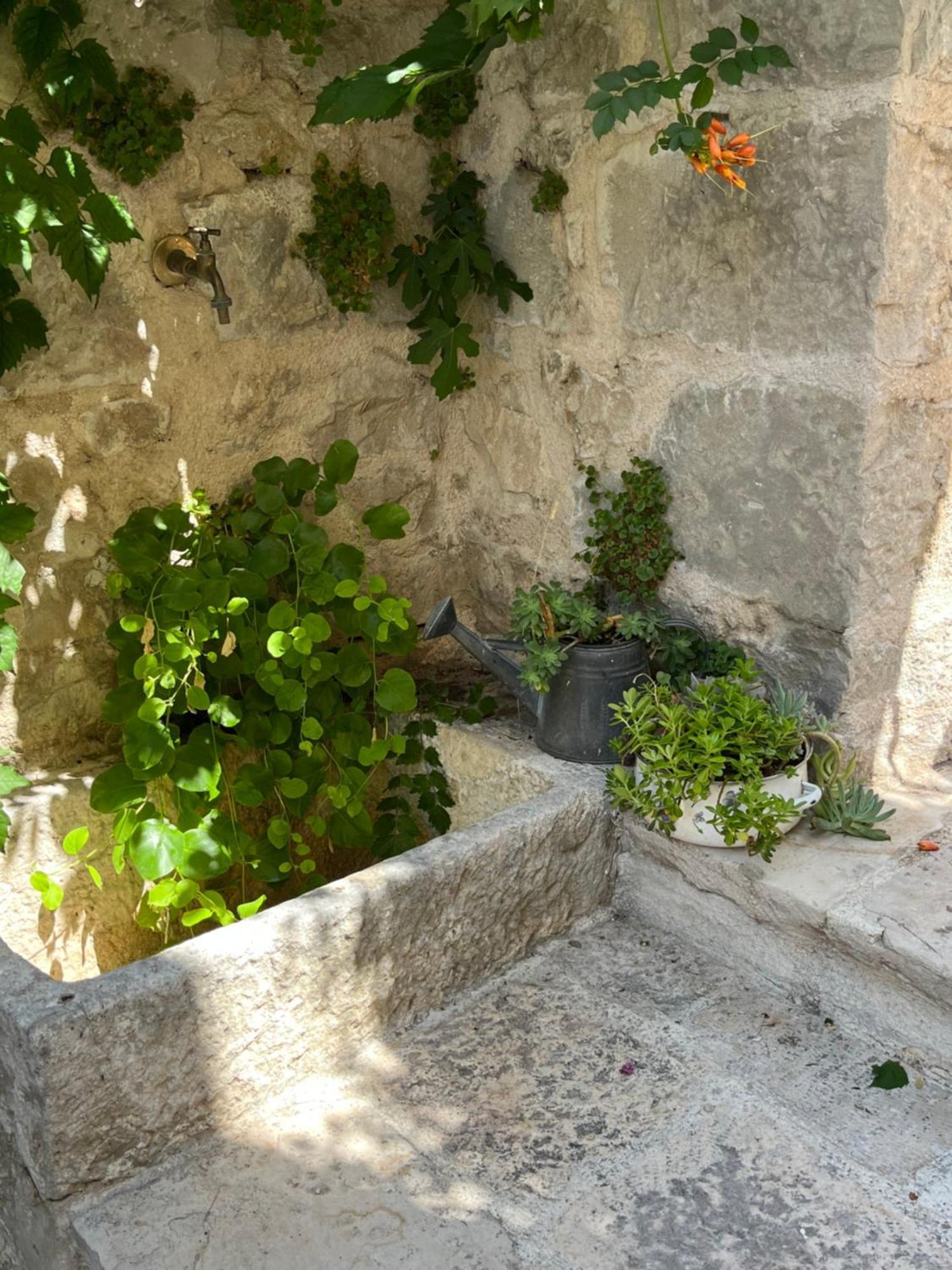 Luxury Apartment Spa "Marina" Makarska Eksteriør bilde